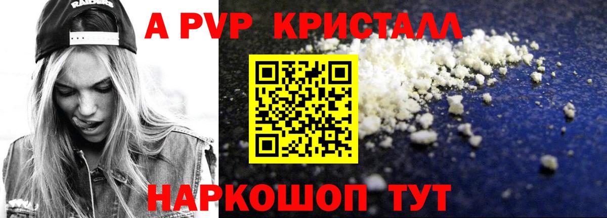 Альфа ПВП СК Кизилюрт